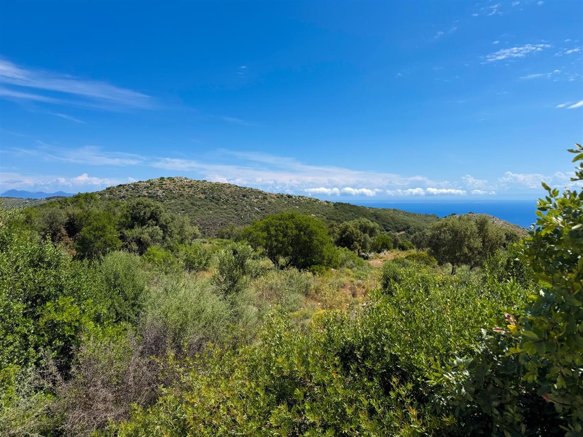 Land in the Northern Village of Elies, Zakynthos with sea views
