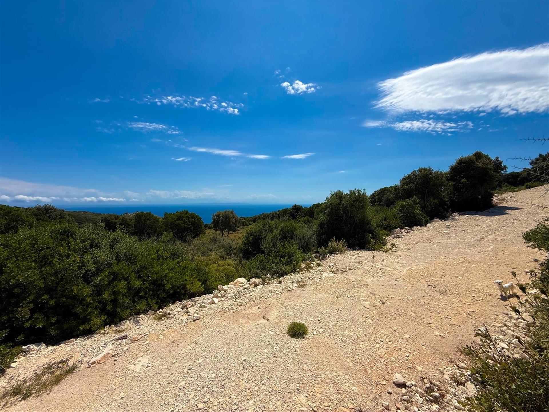 Land in the Northern Village of Elies, Zakynthos with sea views