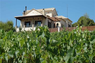 Domain with vineyard on Zakynthos west-coast