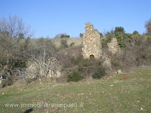 Castelnuovo dell'abate on sale a farmhouse on a hill