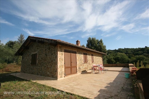 Scrofiano on sale stone and brick house of 71 sqm