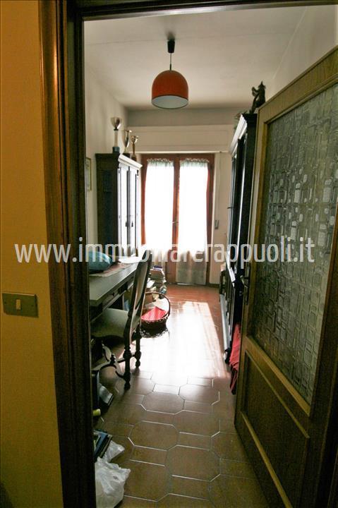 Purchase: House (52046)