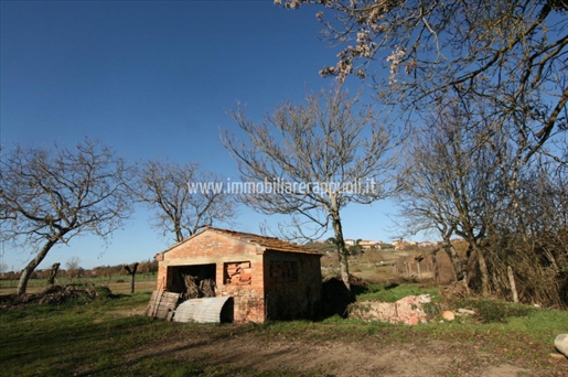 Foiano on sale portion of farmhouse of 200 square meters