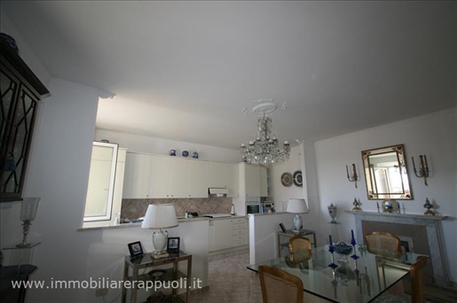 On sale apartment completely renovated historic centre wit
