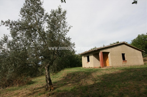 Monte San Savino on sale in a hilly position unfinished si