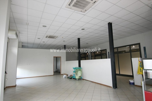 Purchase: Business premises (53049)