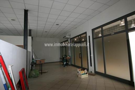 Purchase: Business premises (53049)