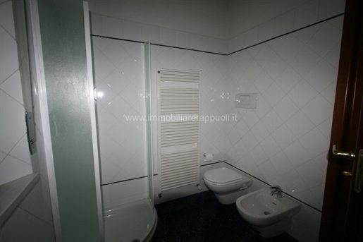 Compra: Apartamento (55041)