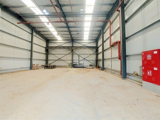 Best Investment Opportunity| Factory with Big Land