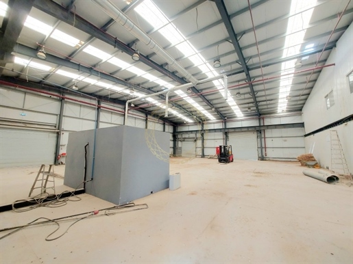 Best Investment Opportunity| Factory with Big Land