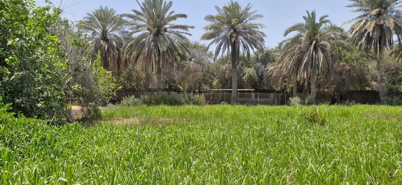 Prime Area | Land Agricultural | High Potential