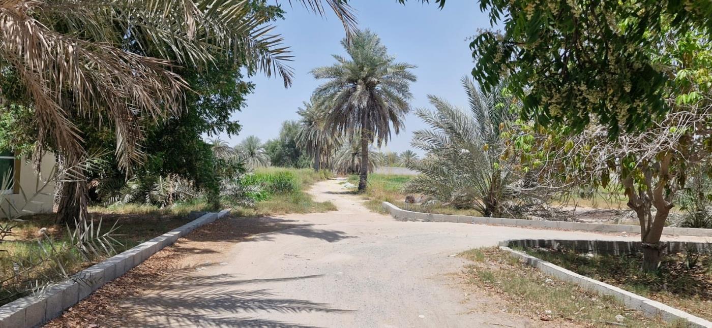 Prime Area | Land Agricultural | High Potential