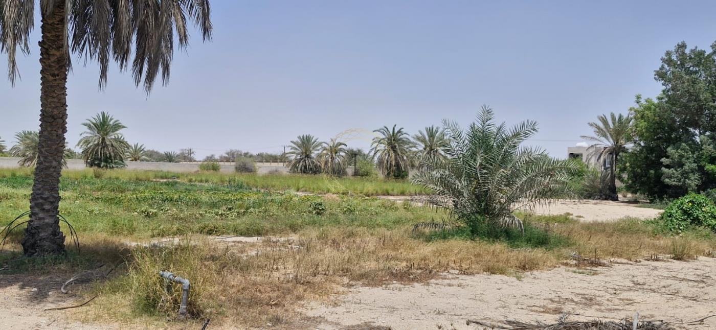 Prime Area | Land Agricultural | High Potential