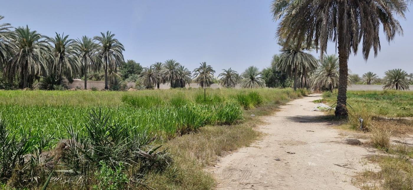 Prime Area | Land Agricultural | High Potential