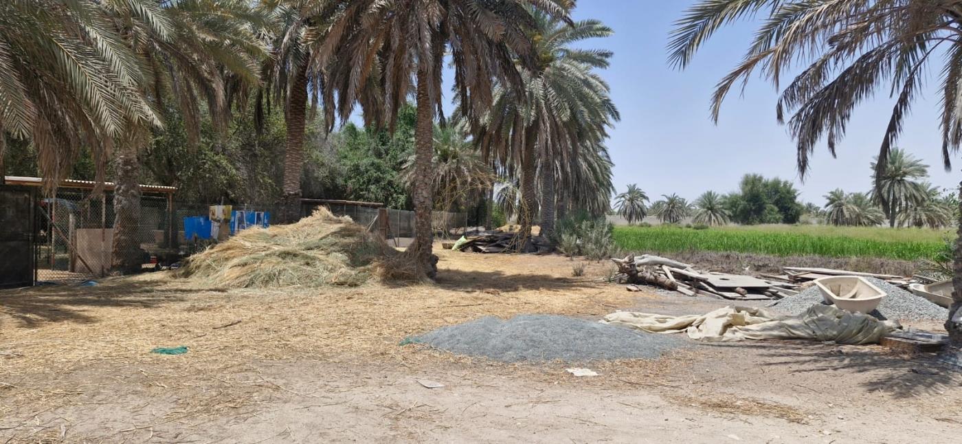 Prime Area | Land Agricultural | High Potential