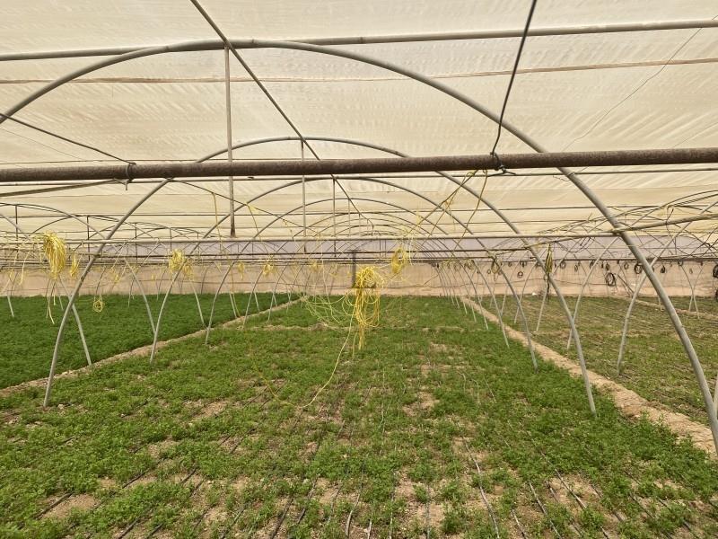Fully Equipped Agricultural Property |Storeroom