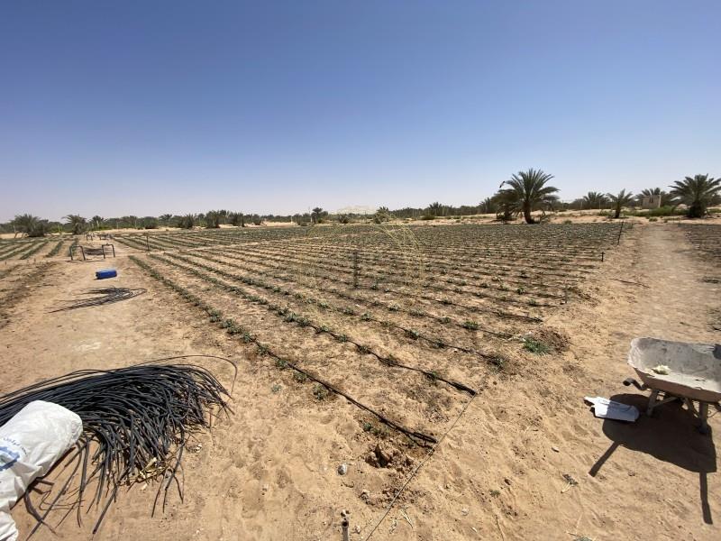 Fully Equipped Agricultural Property |Storeroom