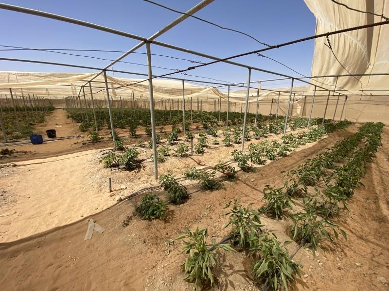 Fully Equipped Agricultural Property |Storeroom