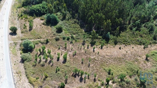 Tierra en el Portalegre, Gavião