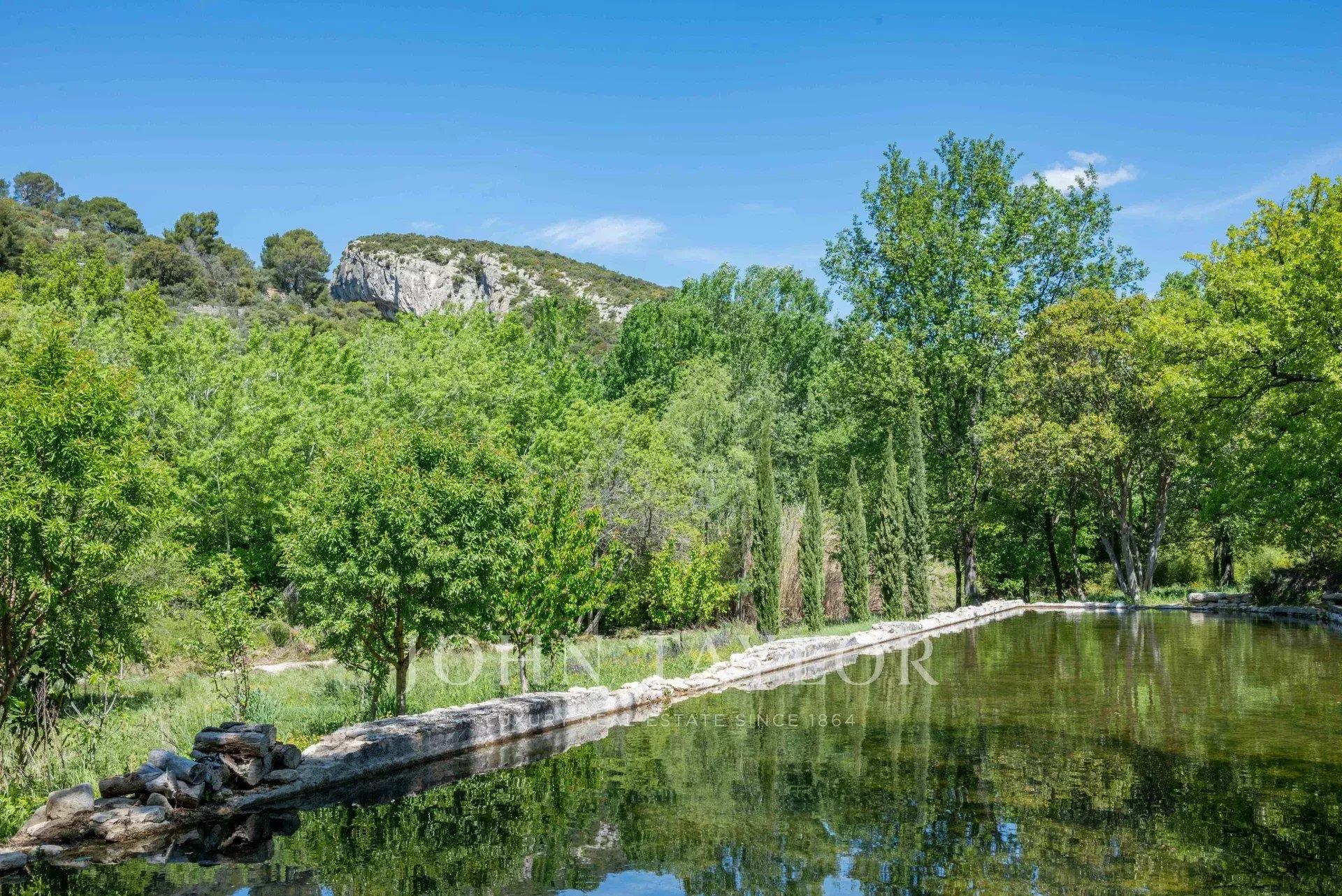 Lourmarin very beautiful renovated old property at the foot of the Luberon on 1.4 hectares of land