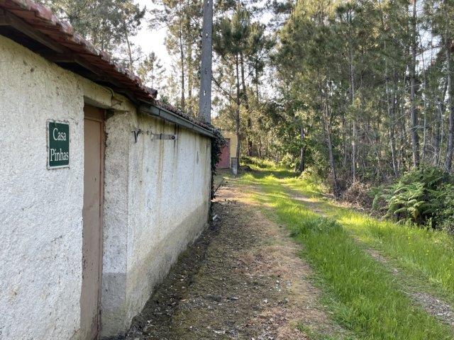 *** Restaurierbares Bauernhaus * auf 4.723 m² Grund * davon ca. 2200 m² Bauland * im Distrikt Coimbr