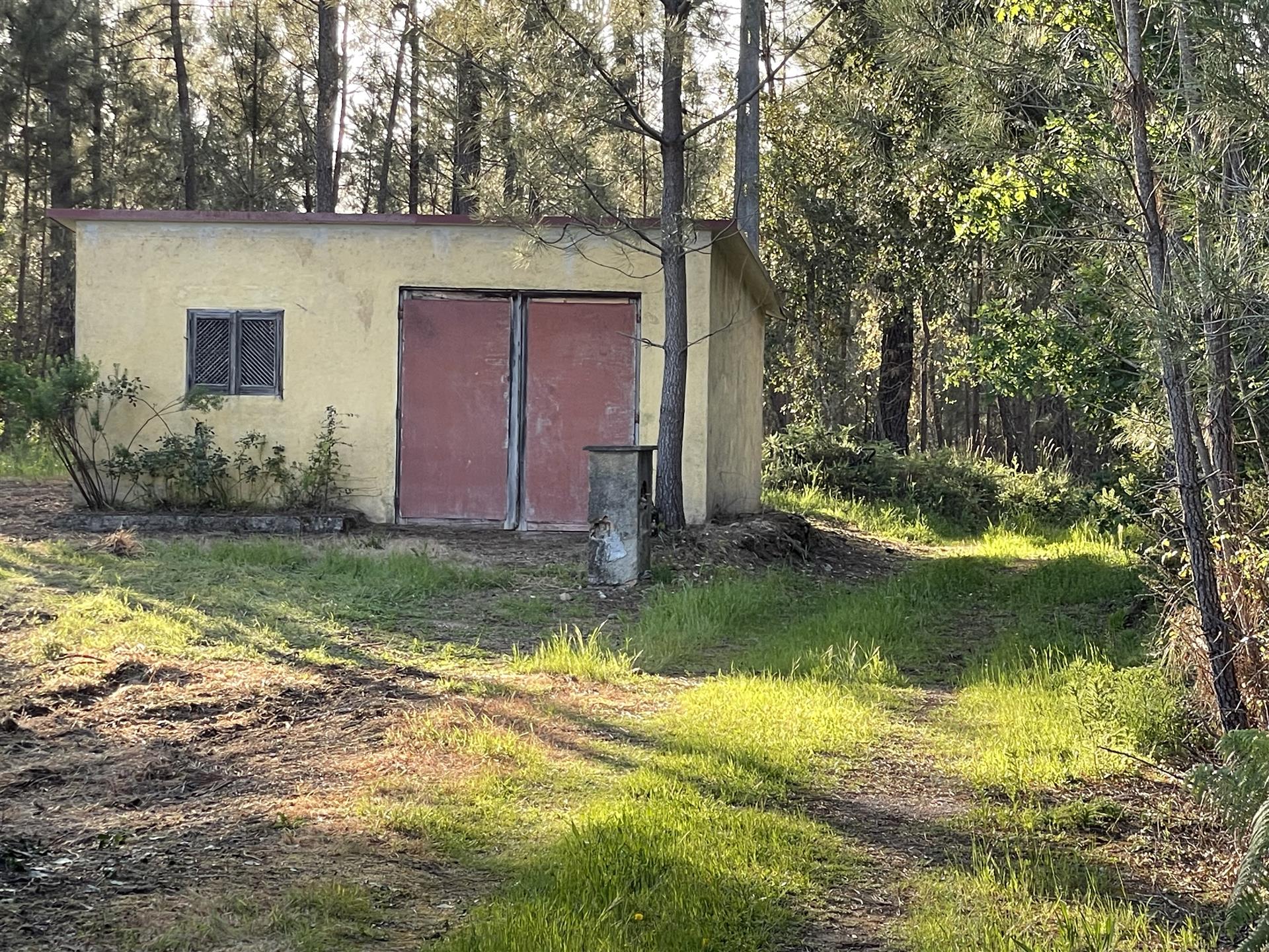 *** Restaurierbares Bauernhaus * auf 4.723 m² Grund * davon ca. 2200 m² Bauland * im Distrikt Coimbr