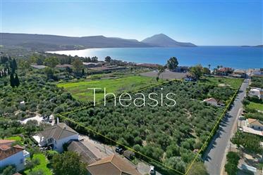 Plot of land S42: Located in the heart of Gialova, Ideal for Commercial or Residential Use