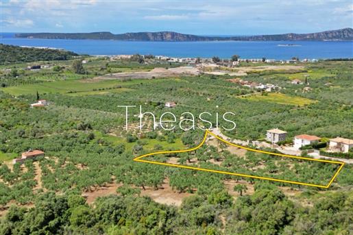 Plot of land P100: Located 2.5km from Gialova and in walking distance from the signature golf course