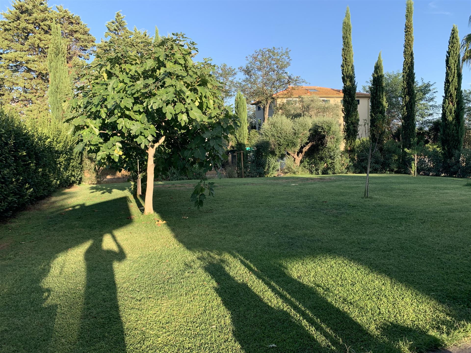 Casa indipendente a Cecina, a 6 km dal mare, 6 vani, arredi di lusso, vendita privata