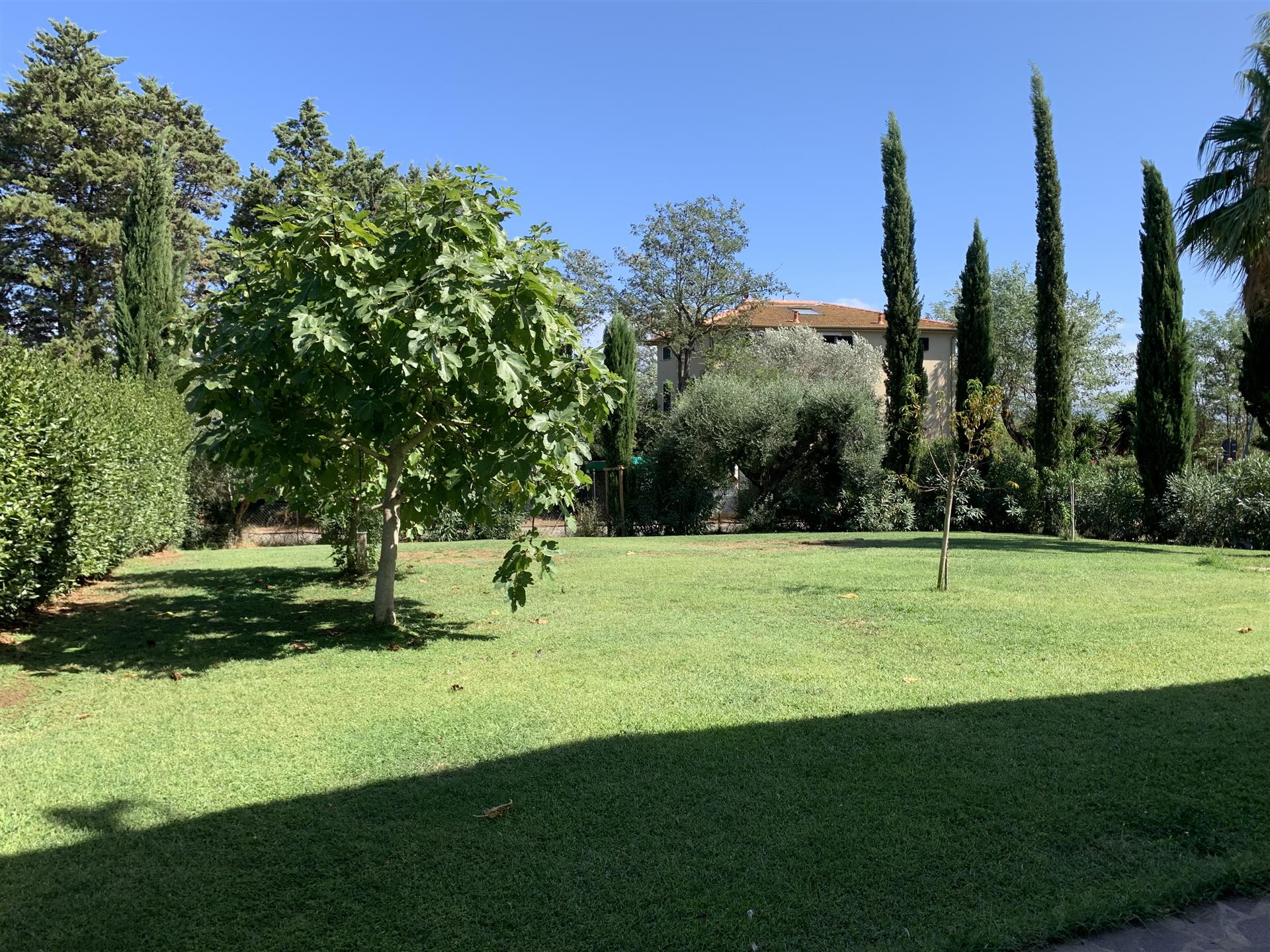 Casa indipendente a Cecina, a 6 km dal mare, 6 vani, arredi di lusso, vendita privata