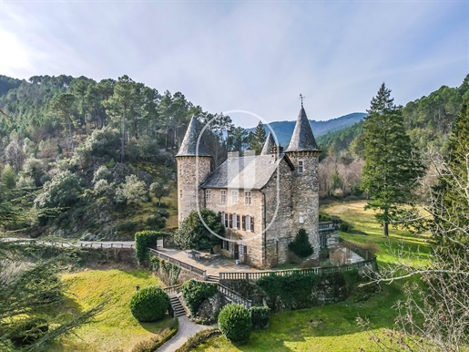 Sixteenth-Century château in 2 hectares of parkland for sale in