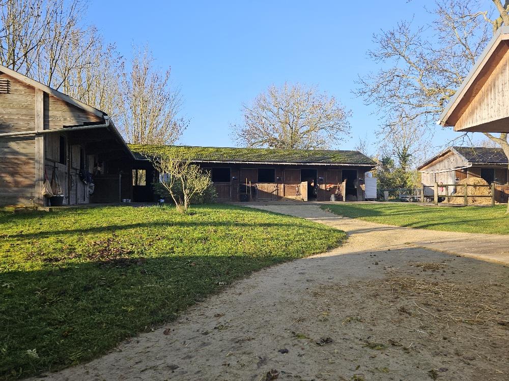 Purchase: House (95000)