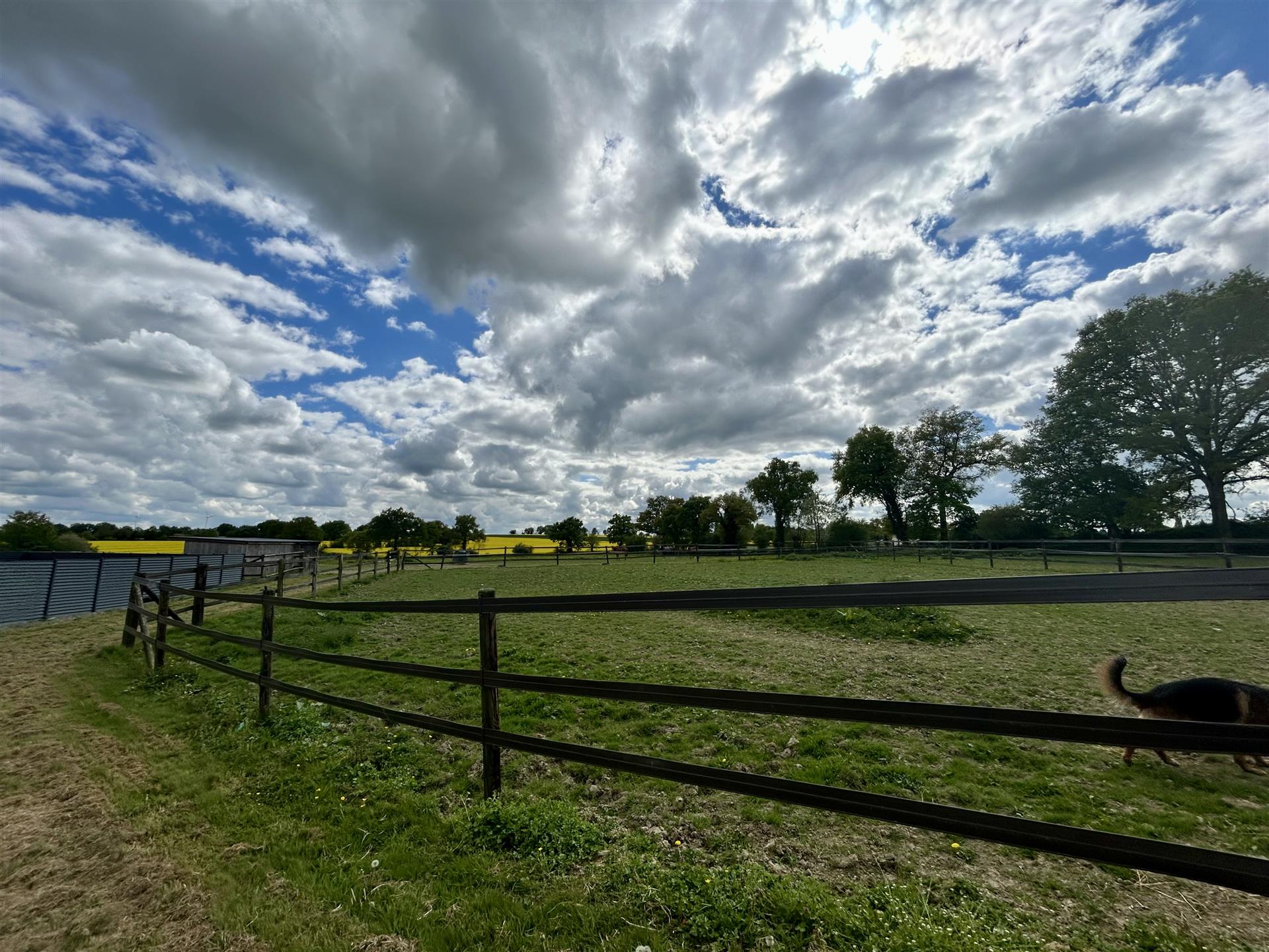Racing stable on 15 ha