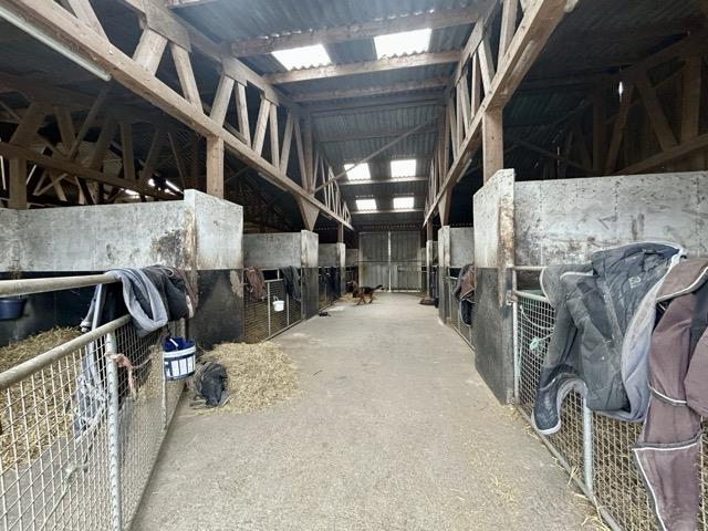 Racing stable on 15 ha