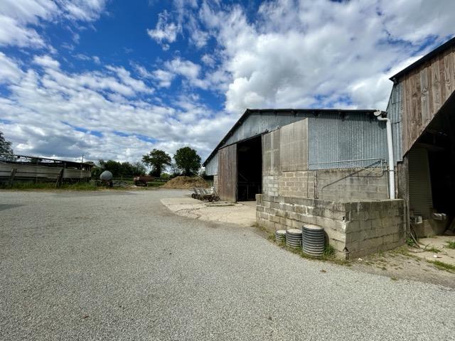 Racing stable on 15 ha