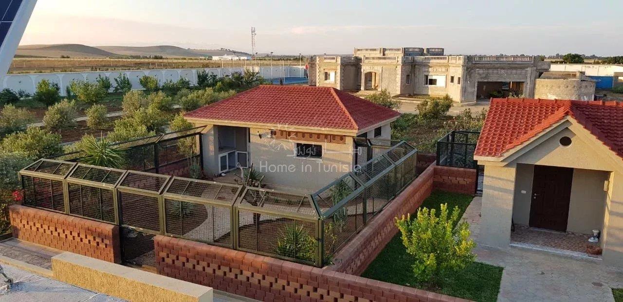 For Sale: Luxury Farm with Pool in Sidi Thabet – 20 Minutes from Downtown Tunis