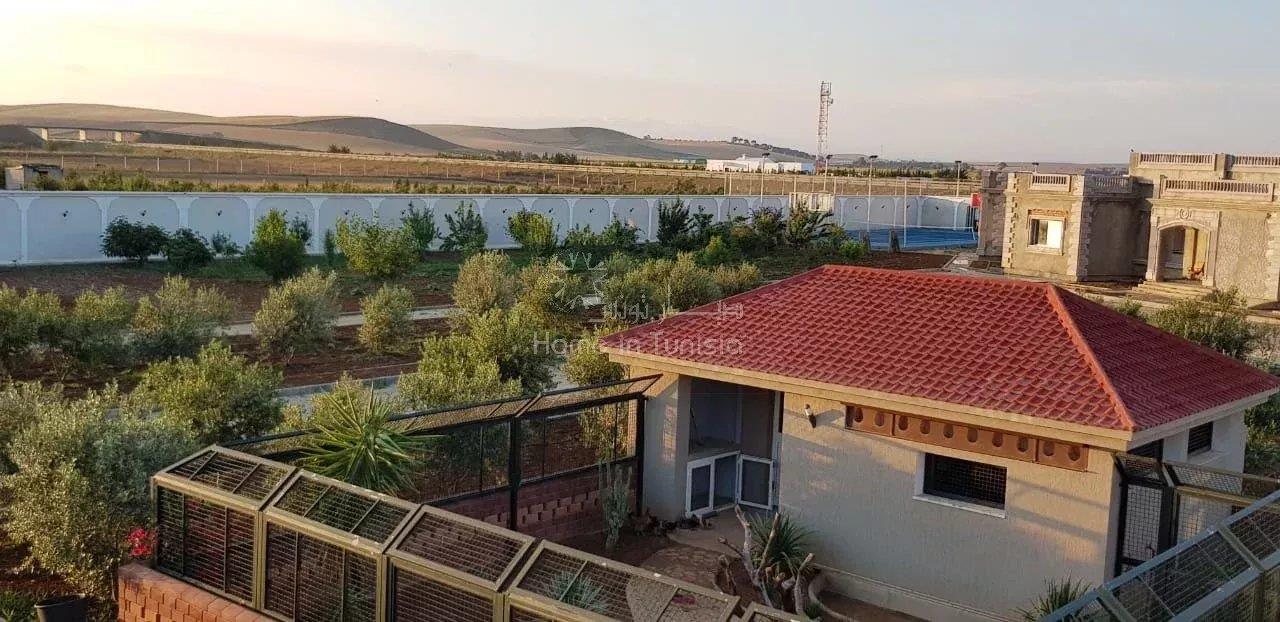 For Sale: Luxury Farm with Pool in Sidi Thabet – 20 Minutes from Downtown Tunis