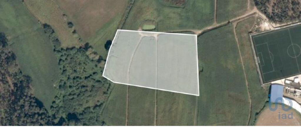 Tierras agrícolas en el Porto, Vila do Conde