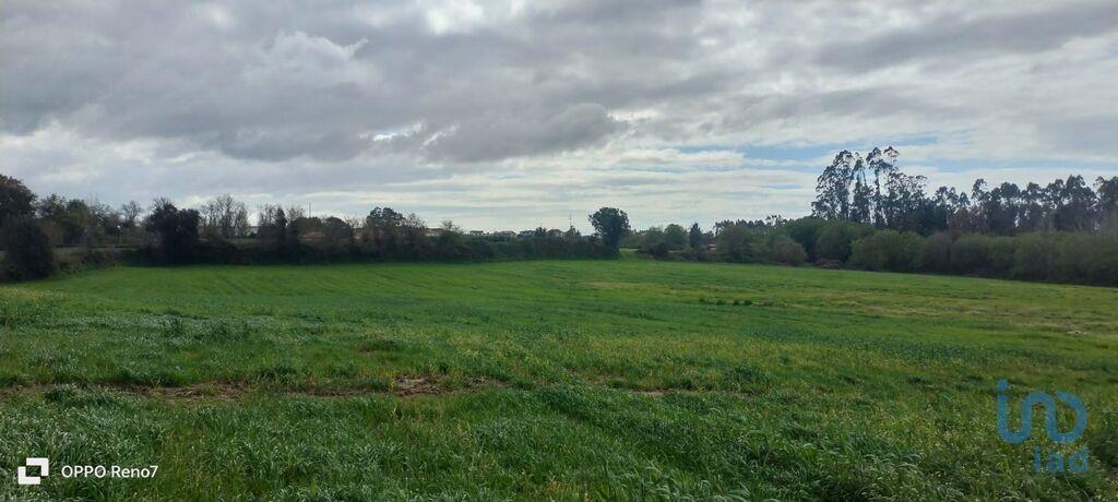 Tierras agrícolas en el Porto, Vila do Conde