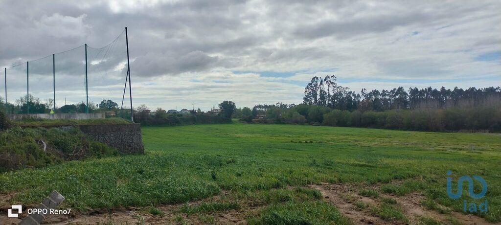 Tierras agrícolas en el Porto, Vila do Conde