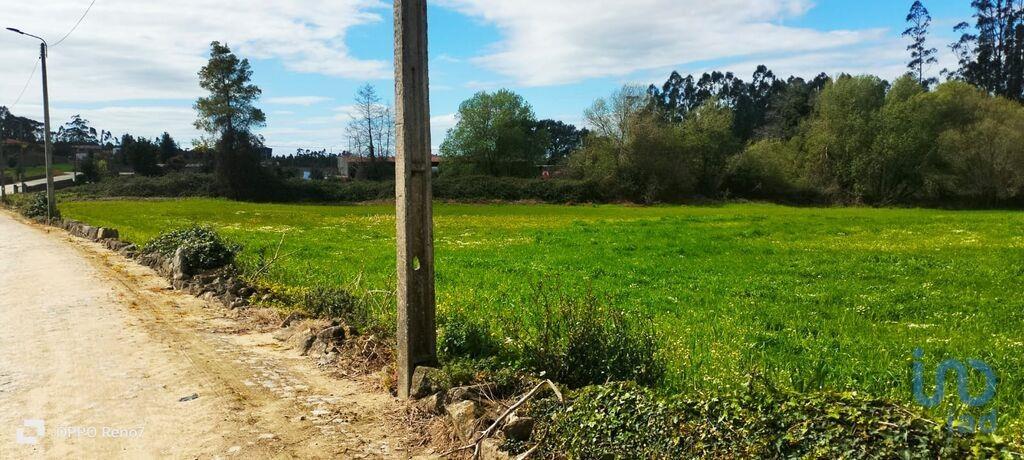 Tierras agrícolas en el Porto, Vila do Conde