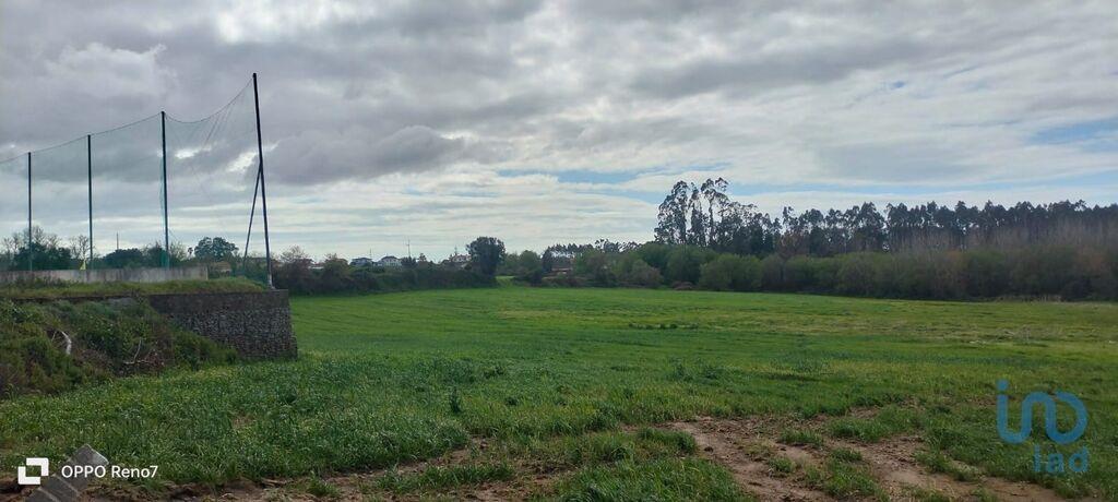 Tierras agrícolas en el Porto, Vila do Conde