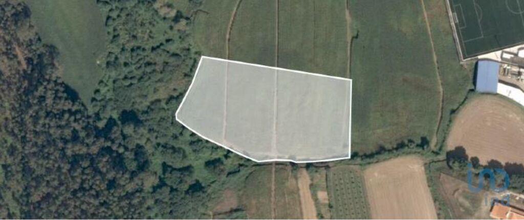 Tierras agrícolas en el Porto, Vila do Conde