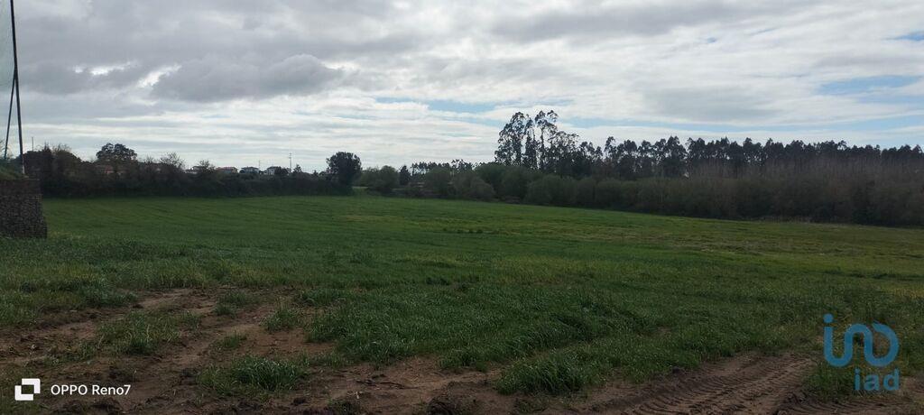 Tierras agrícolas en el Porto, Vila do Conde