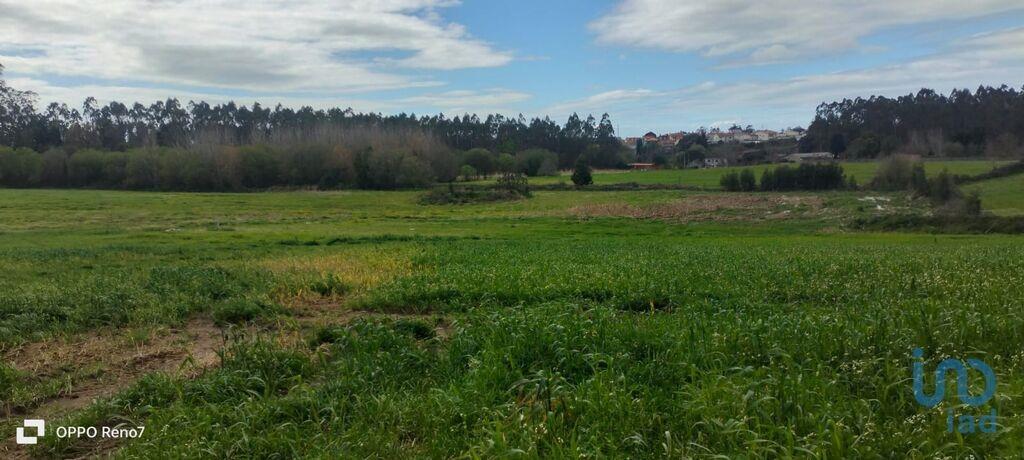 Tierras agrícolas en el Porto, Vila do Conde