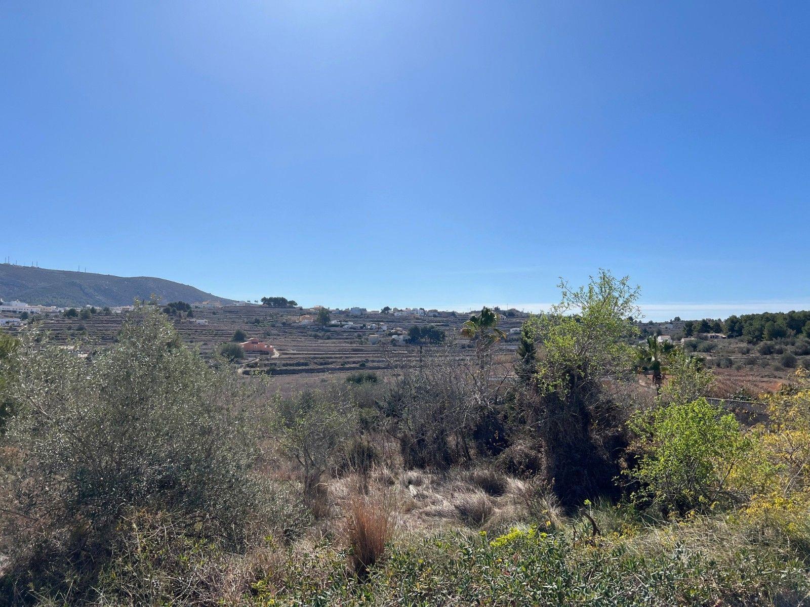 Purchase: Land (03726)
