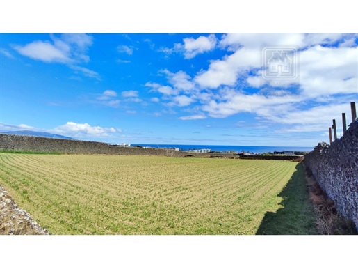 Vente conjointe de 5 Terrains avec potentiel de construction à Ponta Delgada, île de São Miguel, Aço