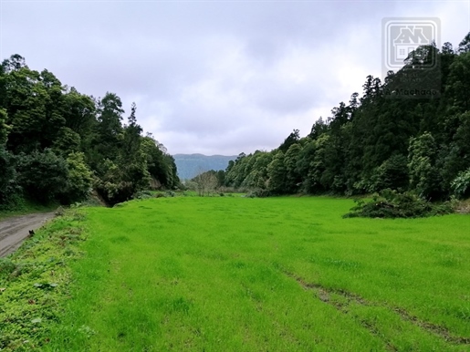Verkoop van Grote rustieke grond met weiland en bos - Sete Cidades, Ponta Delgada, São Miguel Island