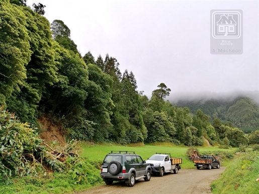 Vente De Grande Terre Rustique Avec Pâturage Et Forêt - Sete Cidades, Ponta Delgada, île de São Migu