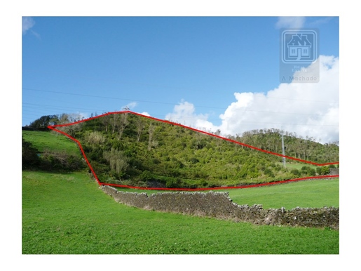 Verkauf Von Rustikalen Grundstücken - São Roque, Ponta Delgada, Insel São Miguel, Azoren